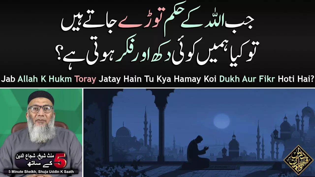 Jab Allah K Hukm Toray Jatay Hain Tu Kya Hamay Koi Dukh Aur Fikr Hoti Hai? - Sheikh, Shuja uddin